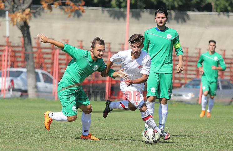 Liga Elitelor U19 / Dinamo - Concordia Chiajna 4-1